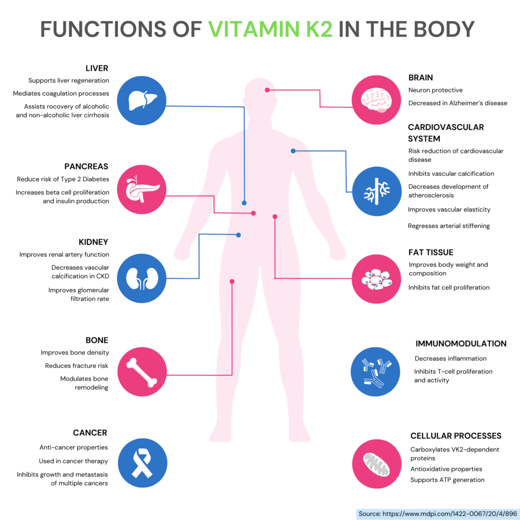 Infographic showing the different functions of vitamin K