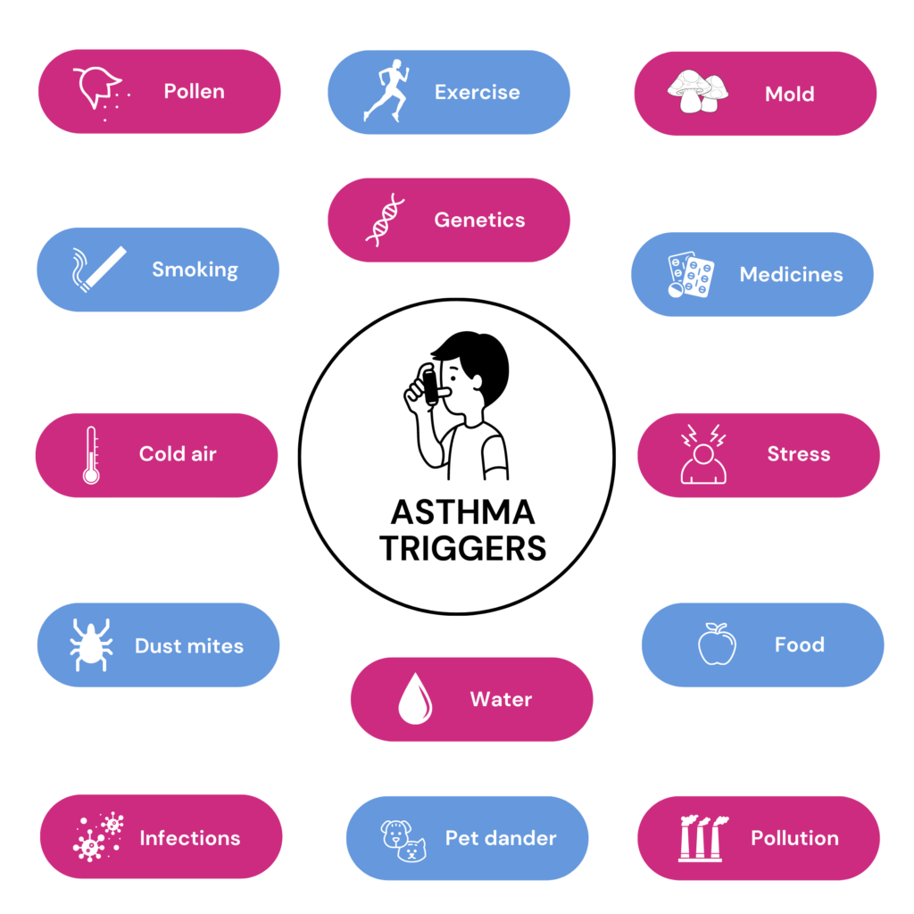 Asthma has several trigger categories, from environmental to genetic. This image lists some common asthma triggers. 