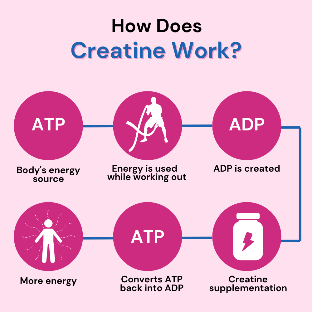 How does creatine work?