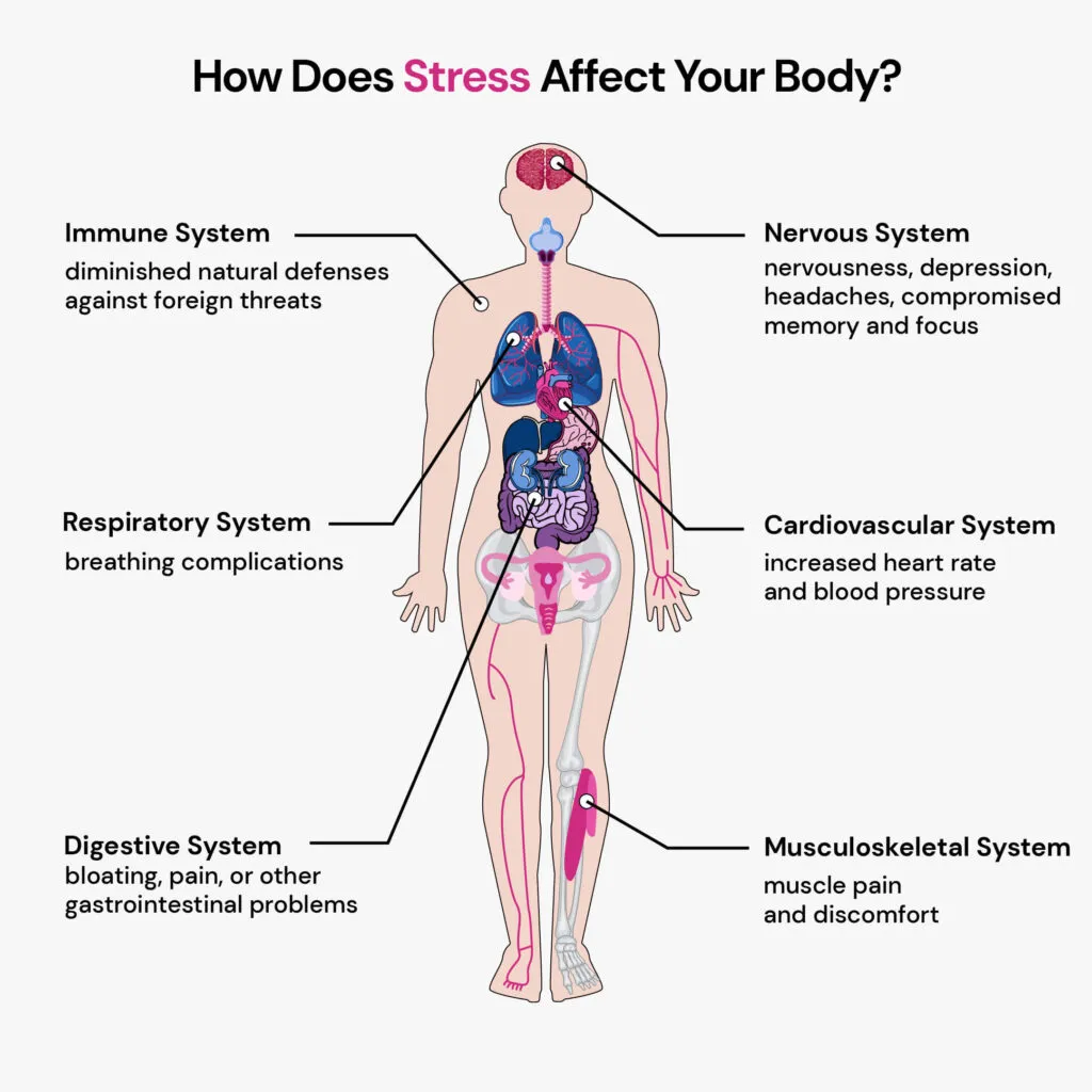 Stress back pain connection