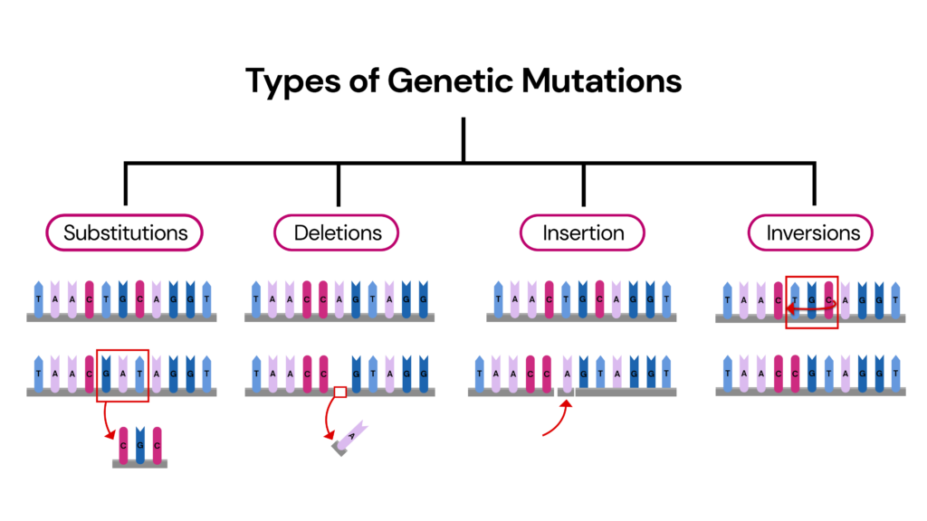 what-is-the-ultimate-source-of-genetic-variation