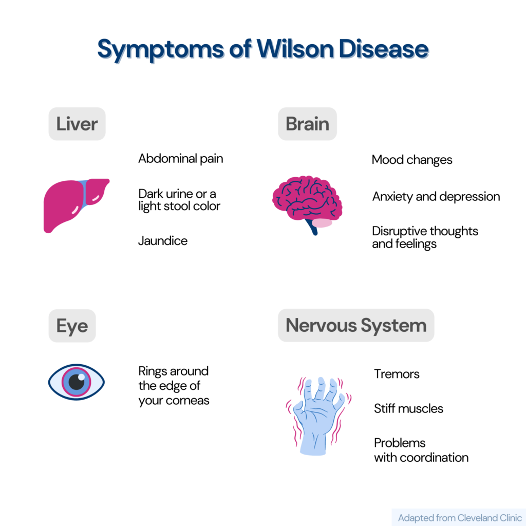 Infographic showing the symptoms of Wilson's disease 