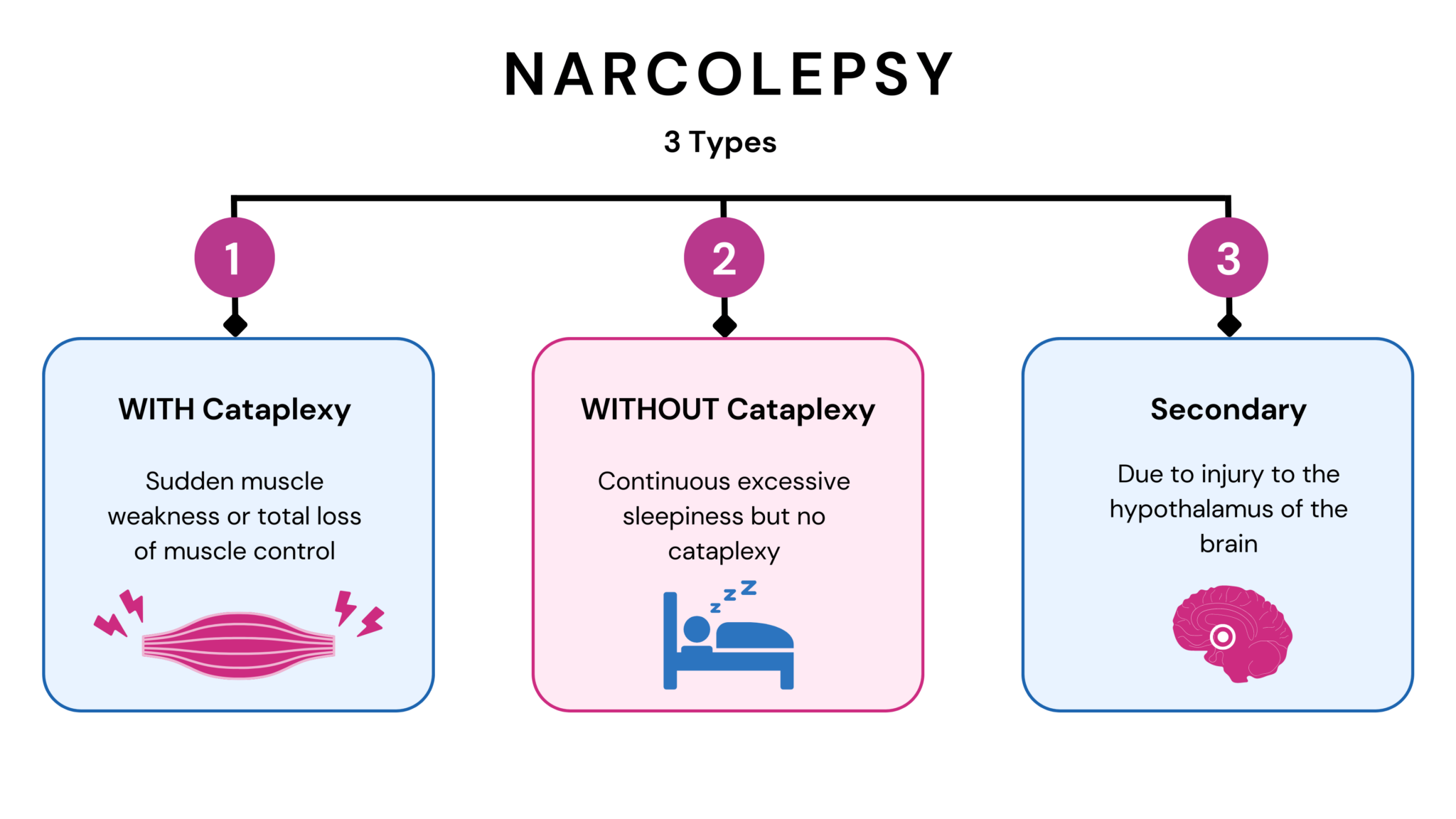 Is Narcolepsy Genetic? The Science Behind Sleepiness