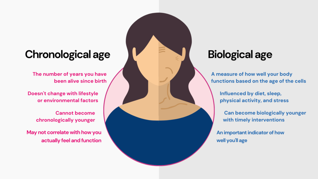 Epigenetic testing can help identify if your biological age is different from chronological age. An icon representing a female whose biological age seems older than chronological age.