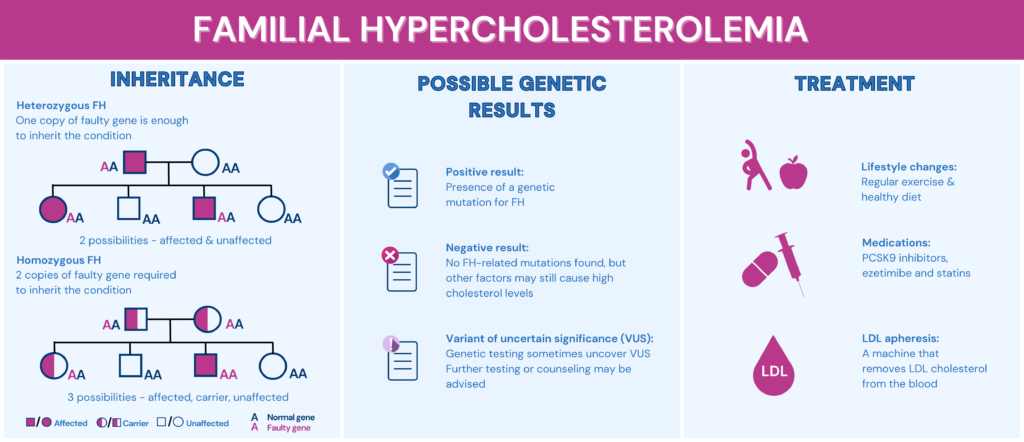 Familial Hypercholesterolemia Genetic Testing Infographic; This picture is an overview of Familial Hypercholesterolemia with inheritance, possible genetic results, and treatment. The inheritance part with heterozygous, where one copy of the faulty gene is enough to inherit, and homozygous, where two copies of the faulty gene are required for inheritance; the possible genetic results part includes positive, negative, and variant of uncertain significance; treatment measures involves lifestyle changes of a healthy diet, medications, and LDL apheresis.
