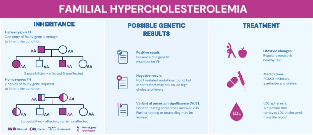 Familial Hypercholesterolemia Genetic Testing Infographic; This picture is an overview of Familial Hypercholesterolemia with inheritance, possible genetic results, and treatment. The inheritance part with heterozygous, where one copy of the faulty gene is enough to inherit, and homozygous, where two copies of the faulty gene are required for inheritance; the possible genetic results part includes positive, negative, and variant of uncertain significance; treatment measures involves lifestyle changes of a healthy diet, medications, and LDL apheresis.