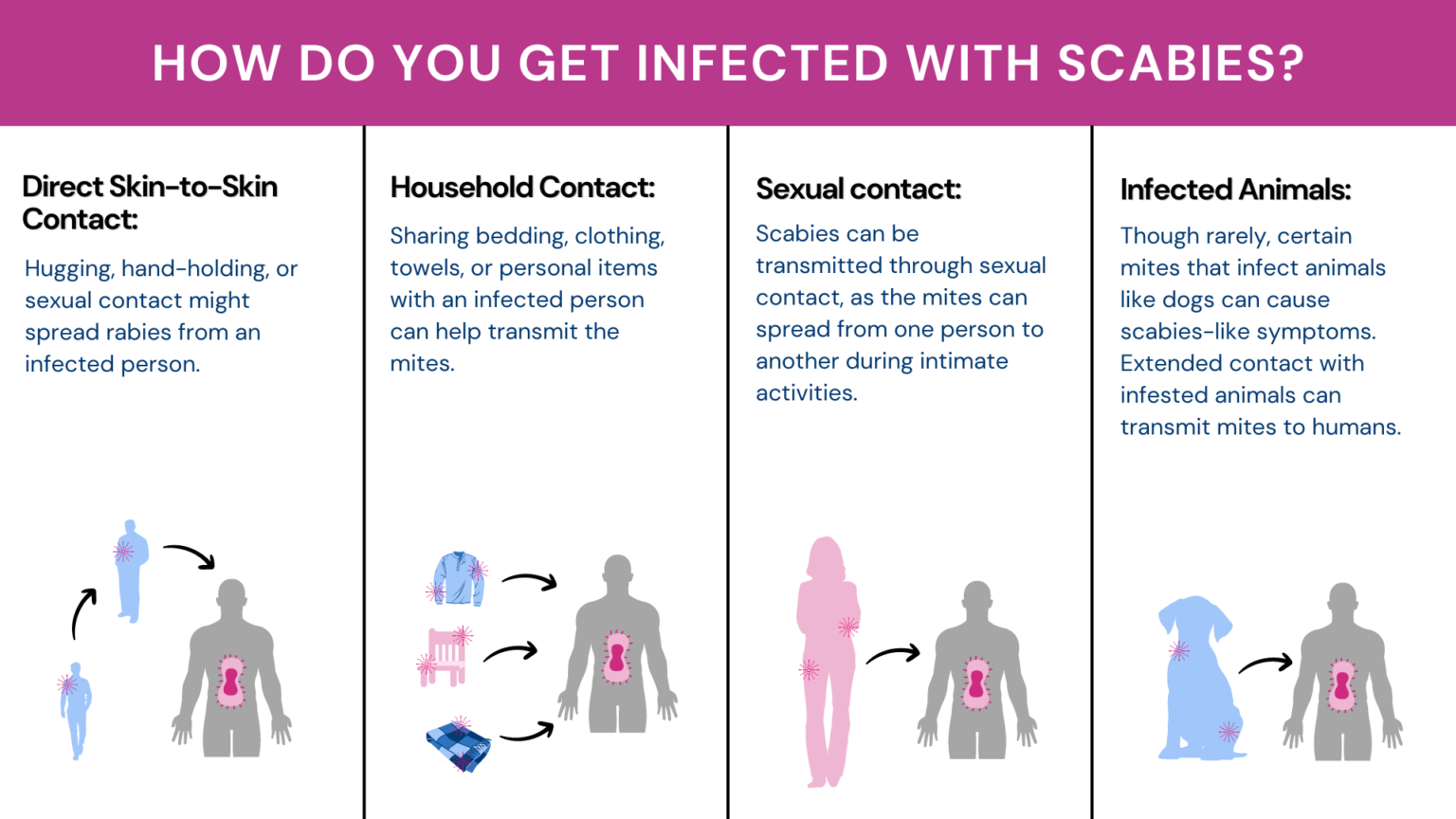 Is scabies an std signs transmission and treatment