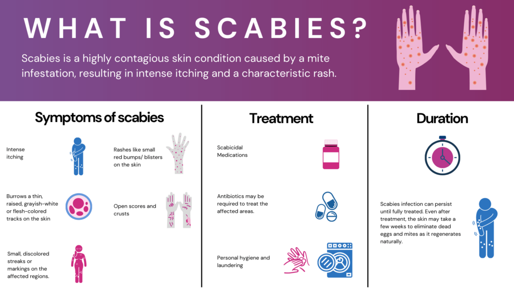 Is Scabies An Std Signs Transmission And Treatment 