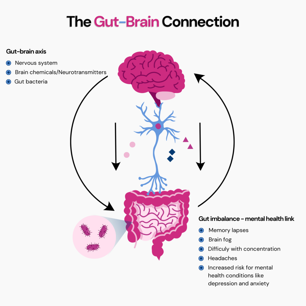 Probiotics For Depression: Infographic describes the Gut-brain connection where the brain connects the gut bacteria through the neuronal impulse connection of the central nervous system and the arrows denoting them. Any changes with this might lead to gut and mental health imbalances with specific symptoms like memory lapses, brain fog, and headaches.