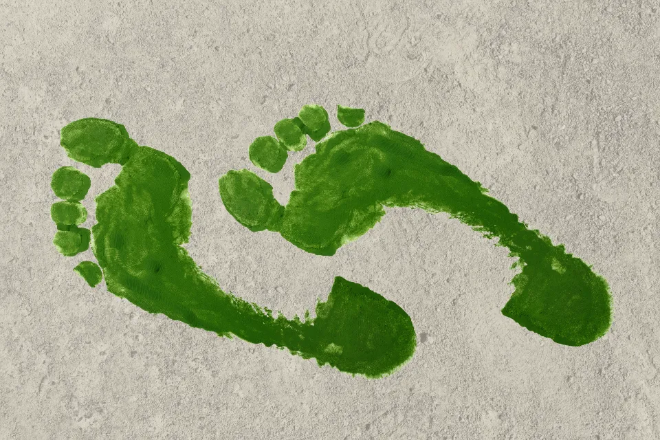 Foot Shape Ancestry: A pair of green colored foot prints in a textured background