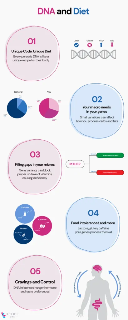 This is an infographic that explains some of the ways in which our DNA reacts with different components of our diet. Each point is explained with some text and visual elements like vector icons.