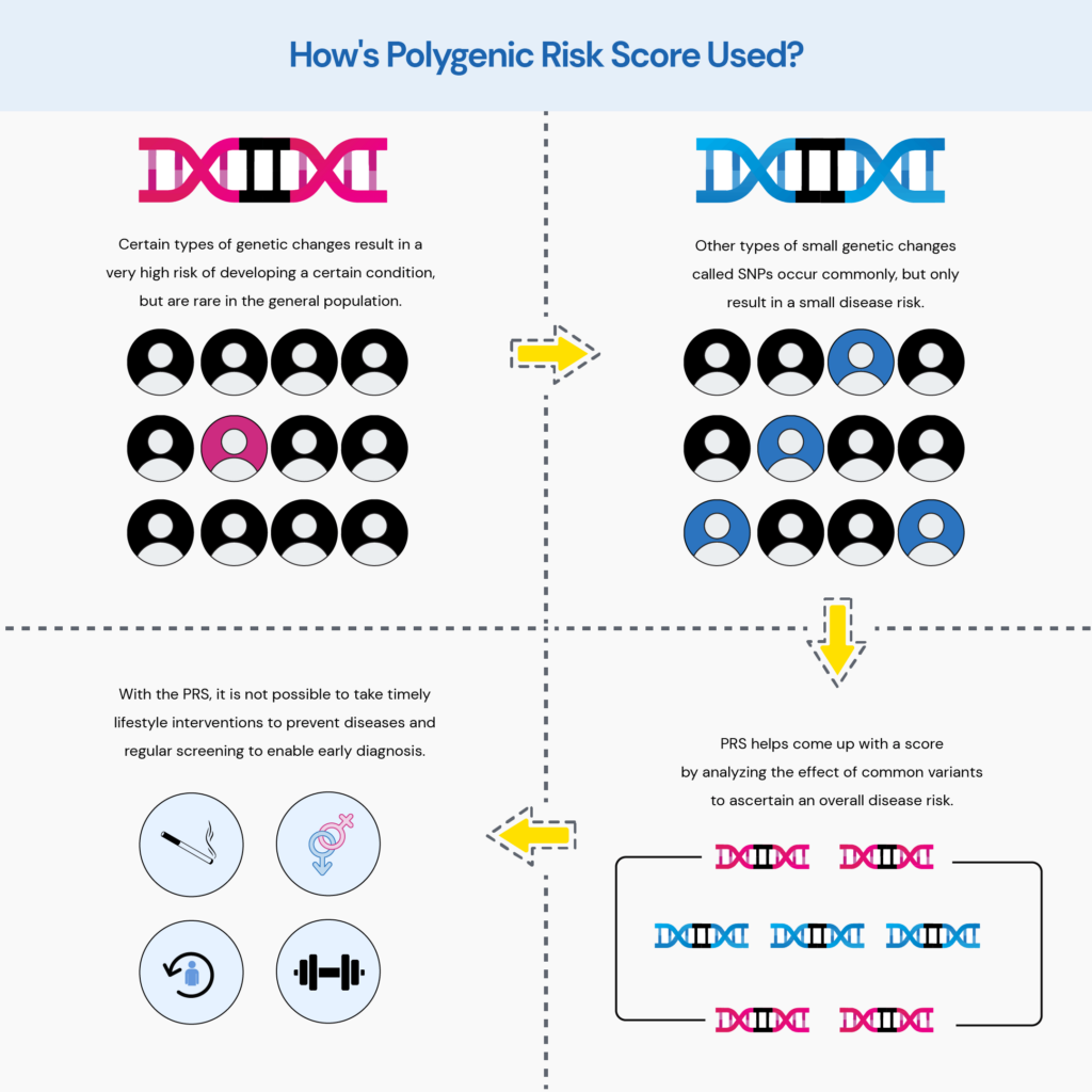 A vector illustration explaining the process of polygenic risk scoring.