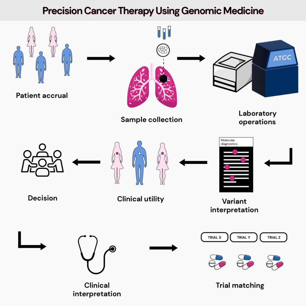 A vector illustration explaining the process of how genomic medicine is used in precision cancer therapy.