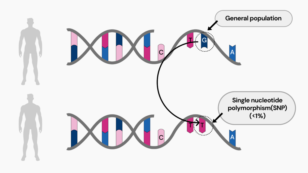 Genotyping to identify SNPs