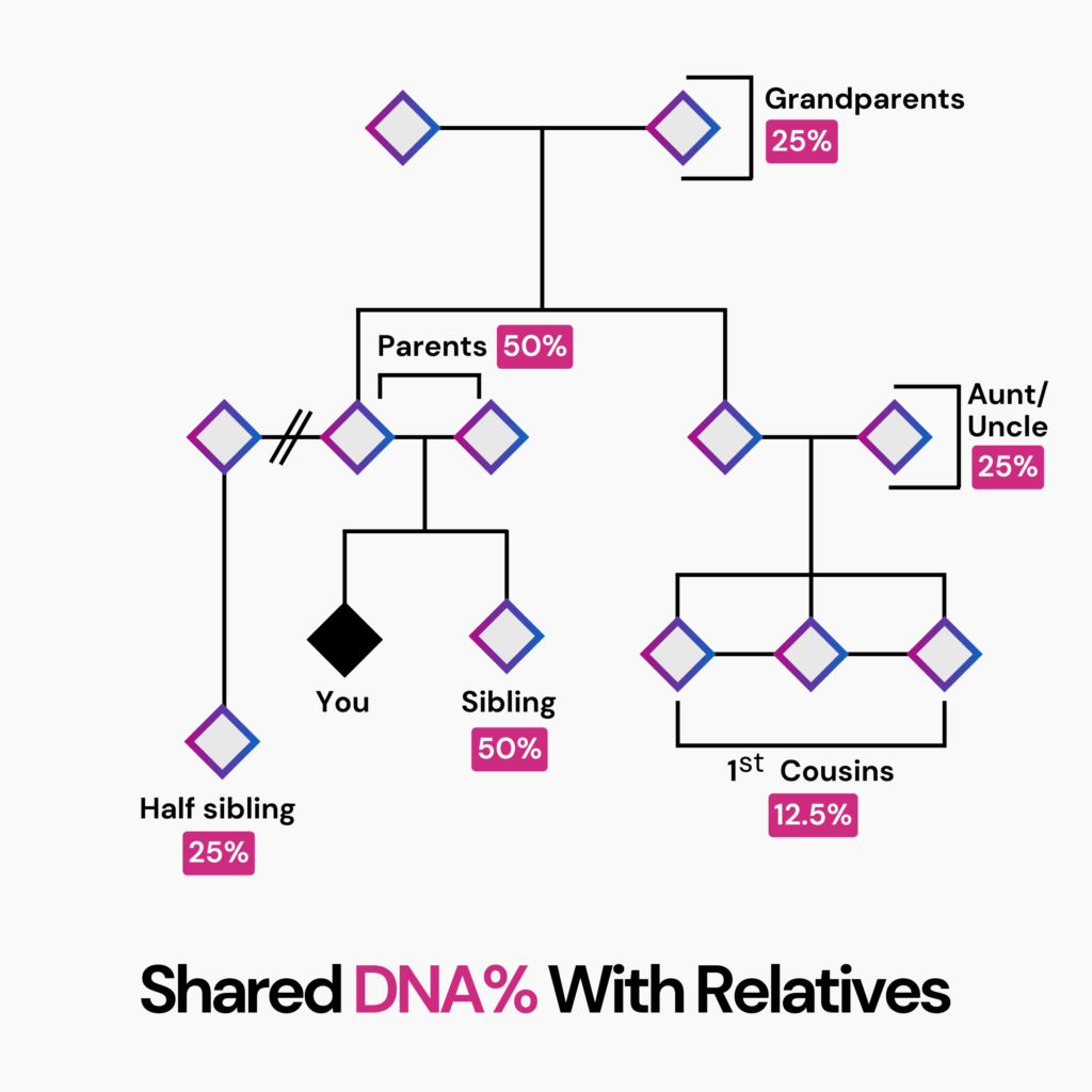 How Much DNA Do Siblings Share? A pedigree chart of 3 generations of a family, indicating shared DNA between the subject marked as "you" and their family members.