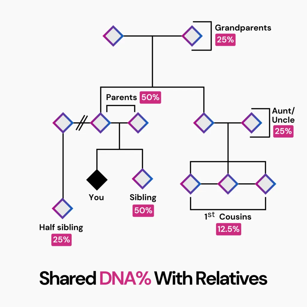 How Much DNA Do Siblings Share? A pedigree chart of 3 generations of a family, indicating shared DNA between the subject marked as "you" and their family members.