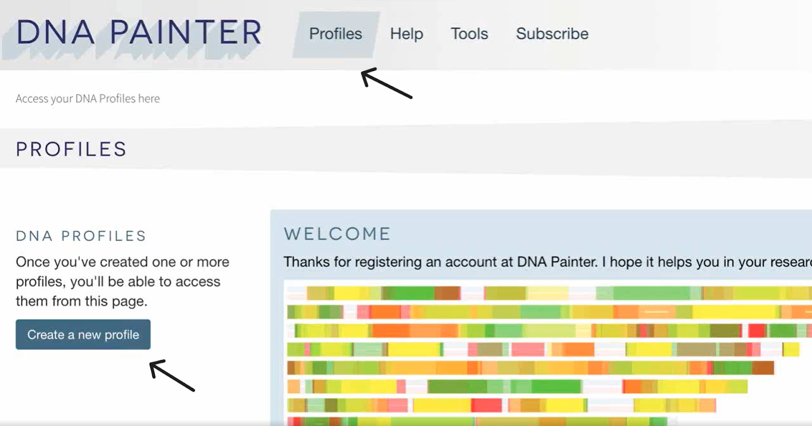 A screenshot from the DNA painter website, indicating how to create a new profile