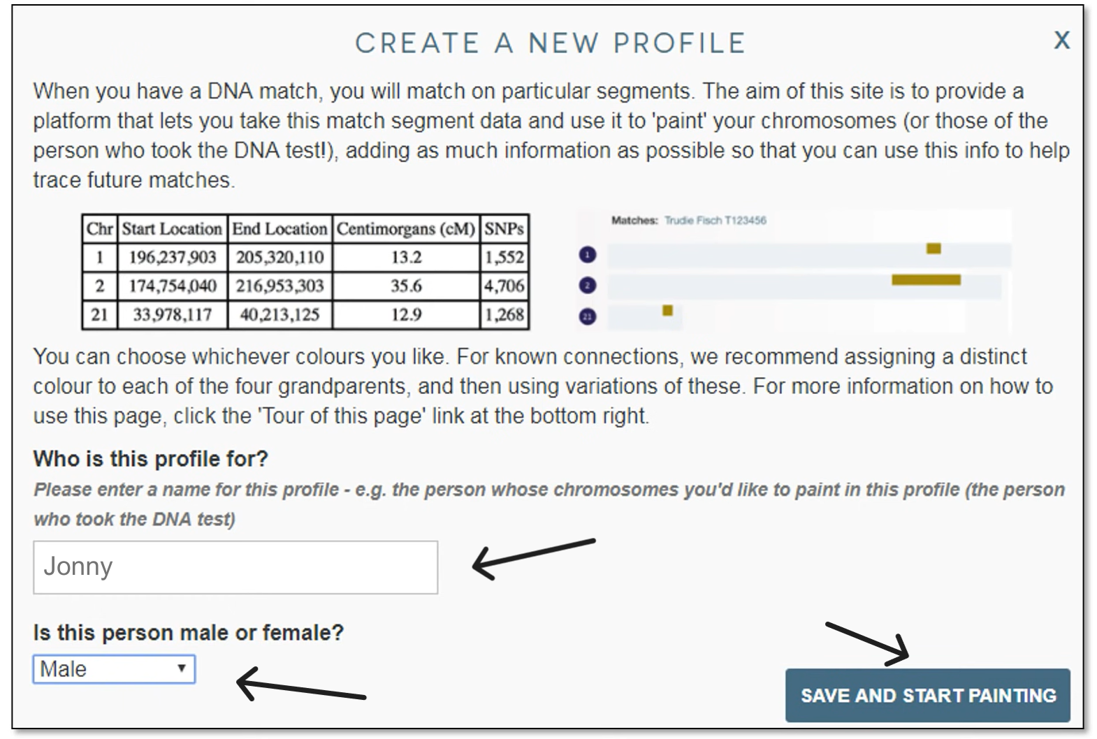 A screenshot from the DNA painter website, indicating how to start painting