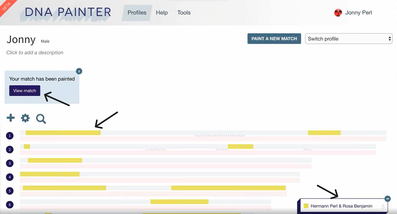 A screenshot from the DNA painter website, indicating how to enter and save a match