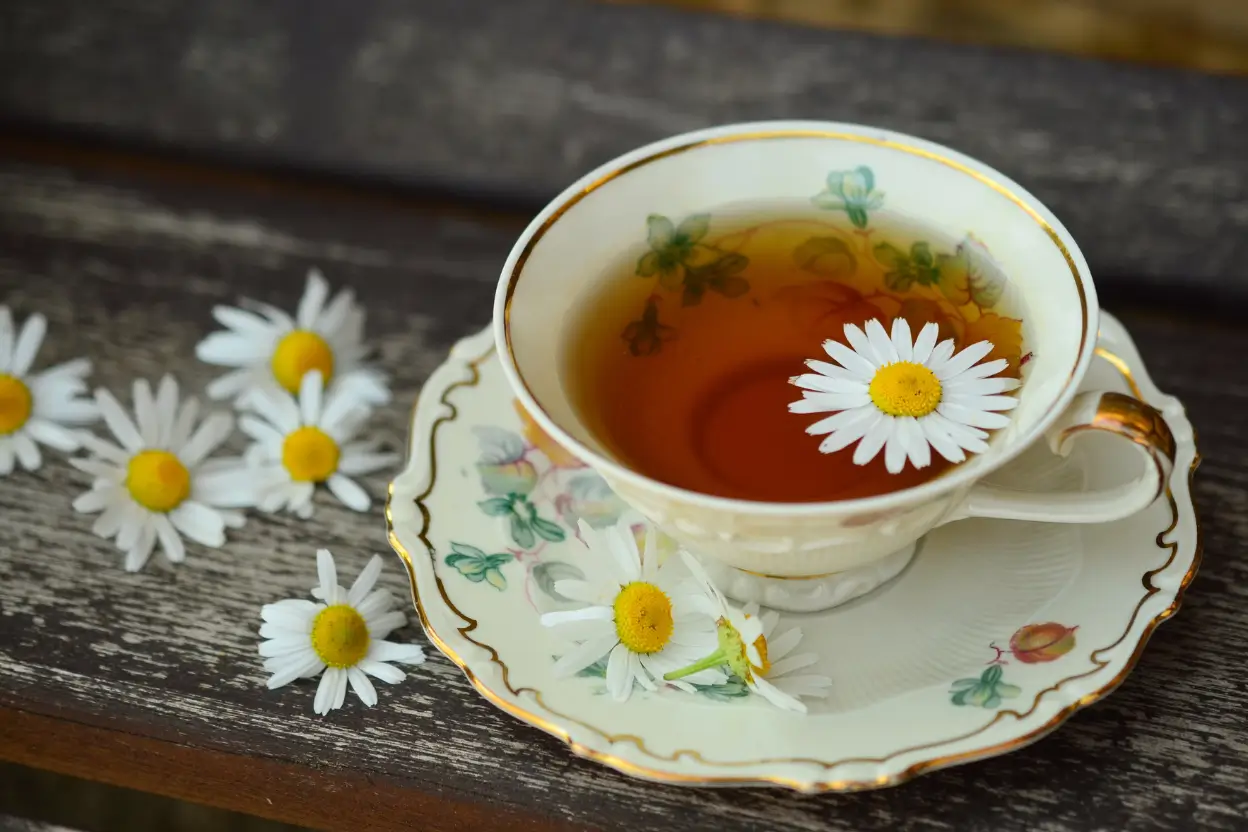 A Complete Guide To Fasting Teas: Dos, Donts, Benefits, & Risks