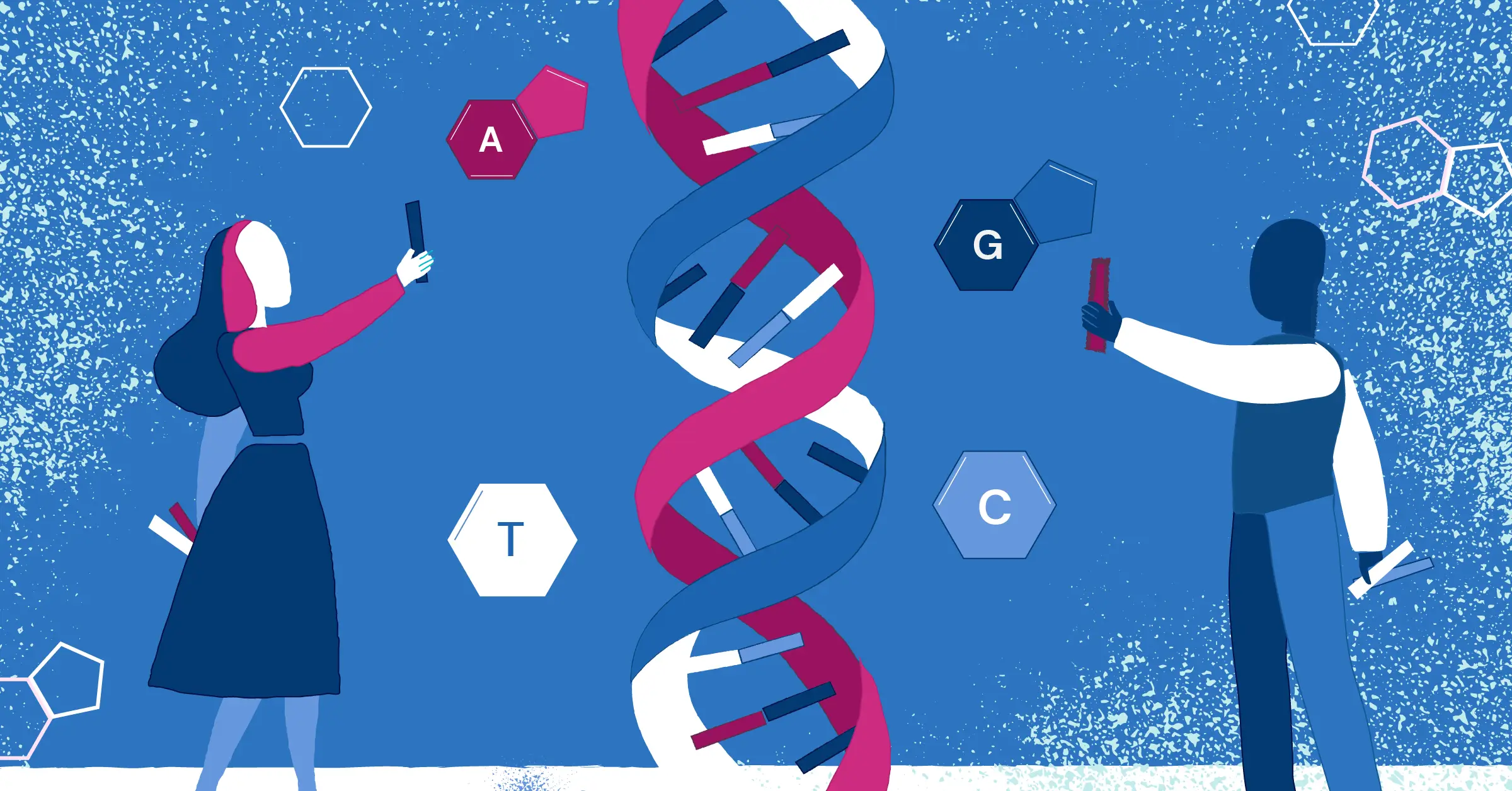 what-are-the-building-blocks-of-dna-xcode-life