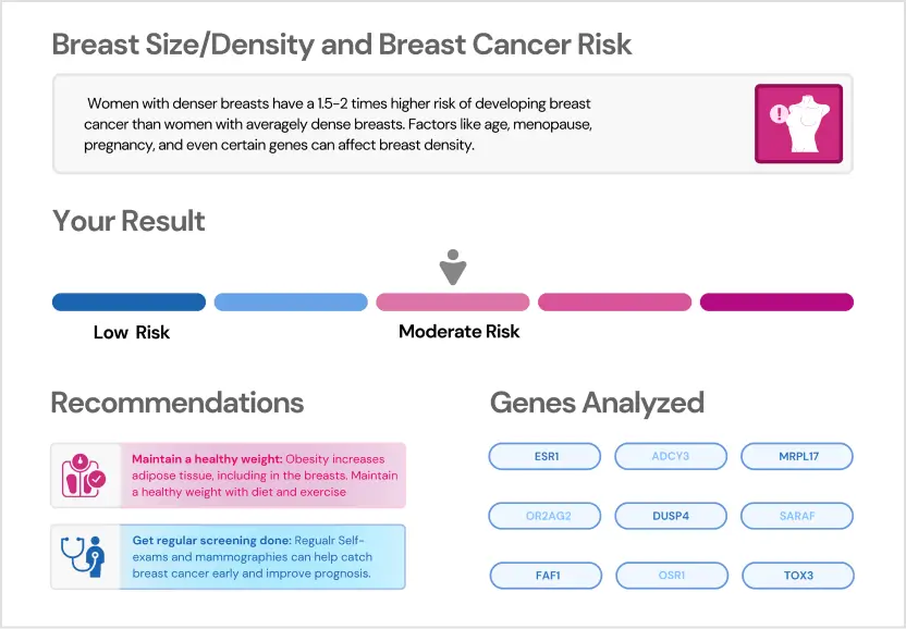 BRCA_Breast Size and Breast cancer risk