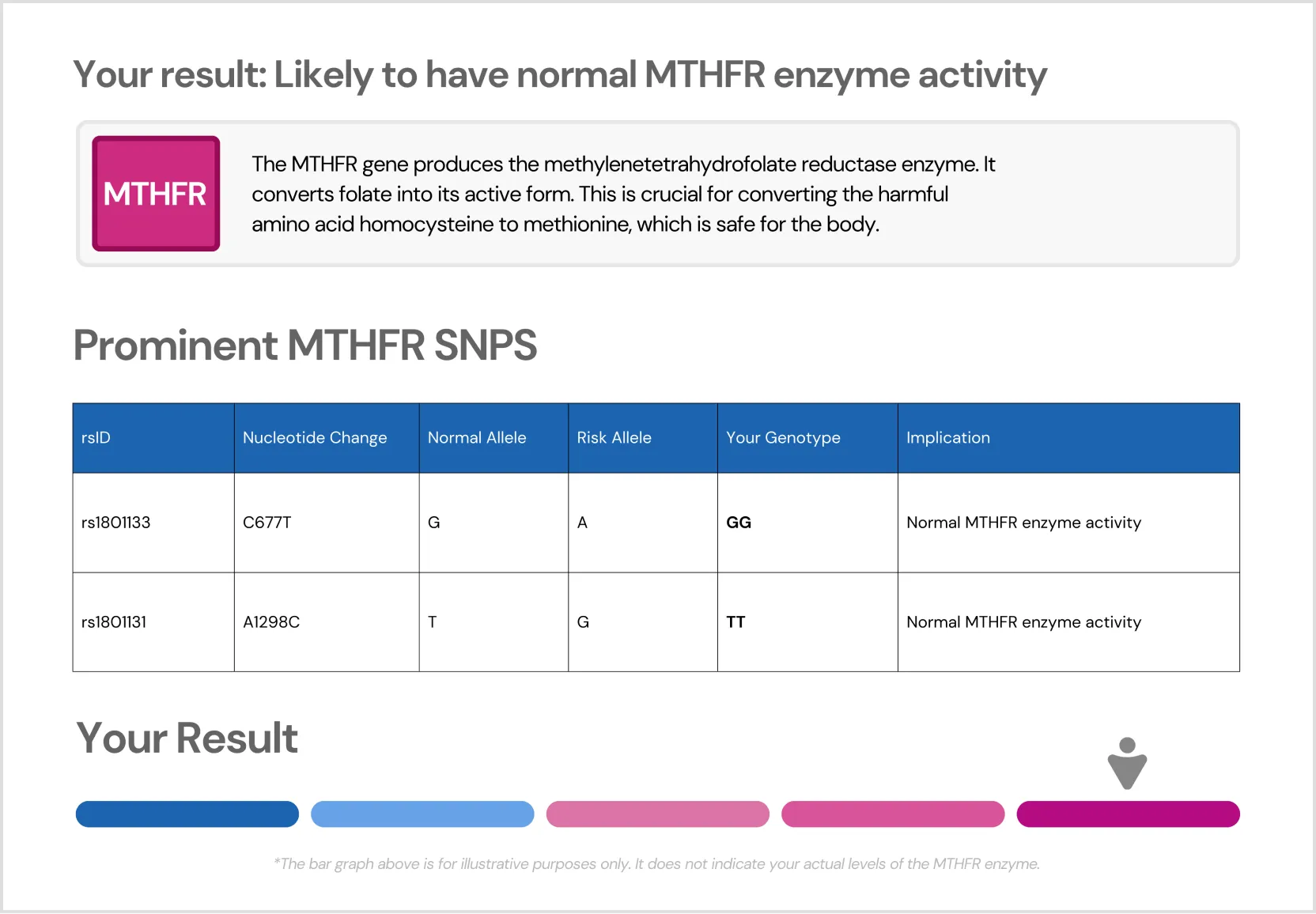 MTHFR Levels