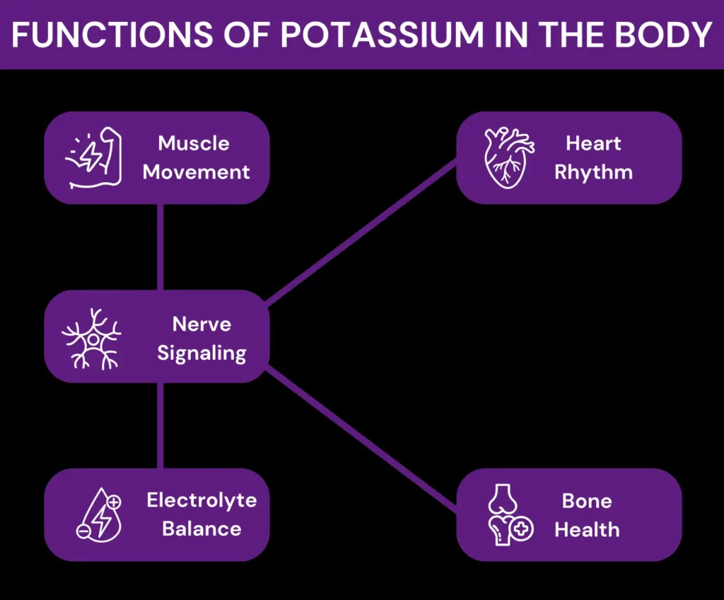 Infographic of the roles that potassium plays in our body