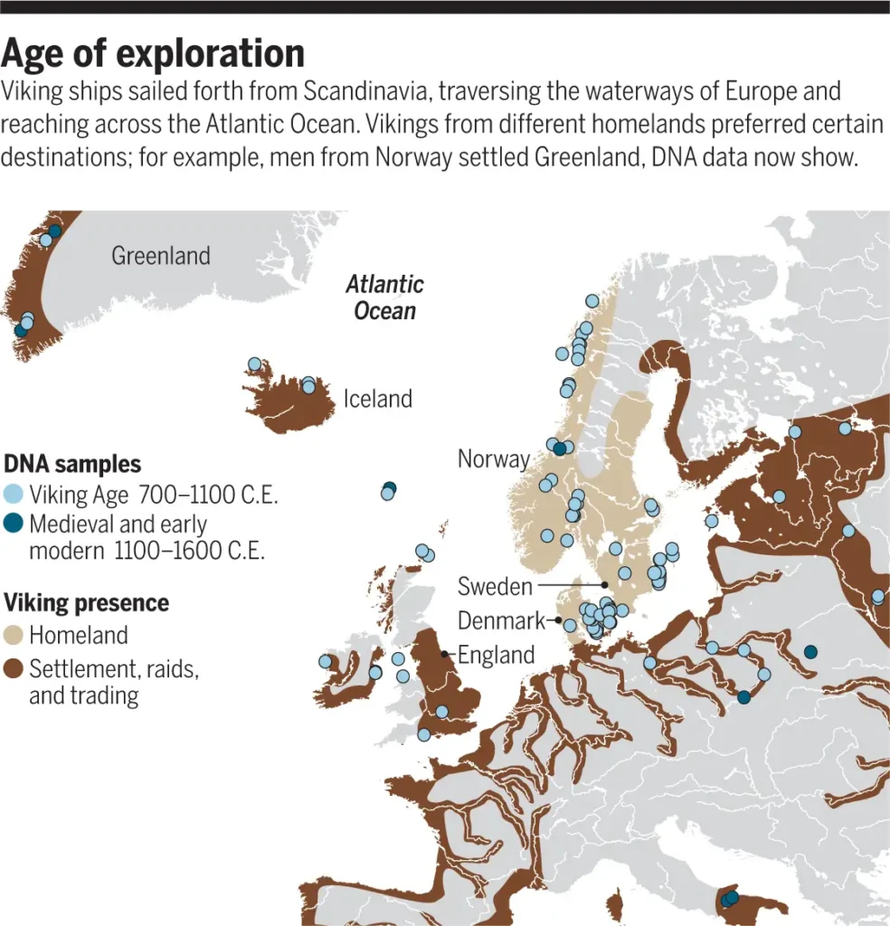 Map titled ‘Age of Exploration’ showing Viking settlements, raids, and trading routes across Europe, from Scandinavia into the British Isles, Greenland, Iceland, and parts of continental Europe. Blue circles mark DNA sample locations: light-blue for Viking Age specimens (700–1100 CE) and dark-blue for medieval and early modern samples (1100–1600 CE). Beige shading indicates Viking homelands; brown shading shows areas of Viking presence and movement.