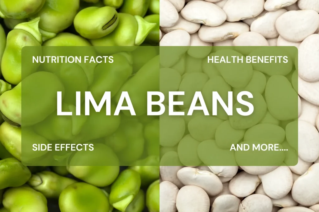 Lima beans of different colors- greenish and cream-colored.