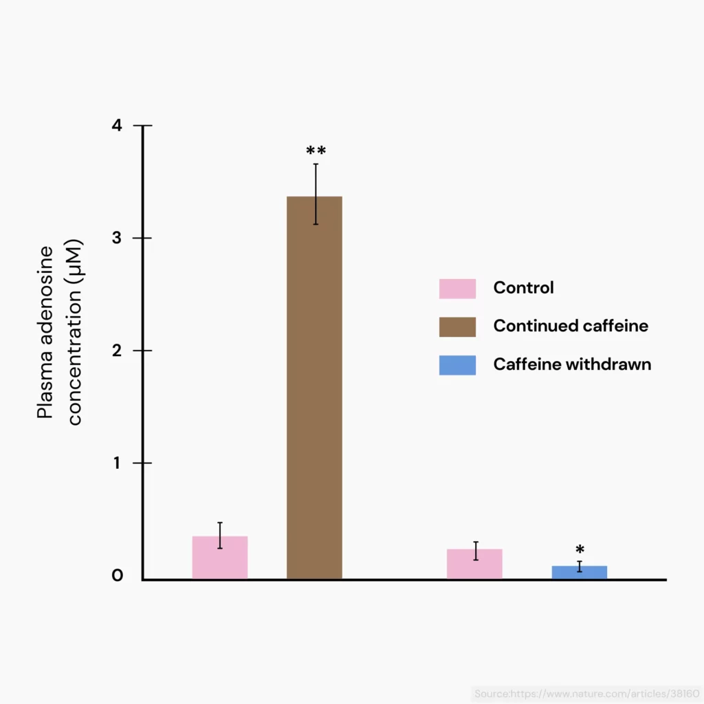 What Is The Best Time For Morning Coffee? This is a graph that shows adenosine levels with caffeine exposure. When caffeine is consumed, plasma adenosine levels becomes higher since caffeine takes its spot and binds to the receptor. When caffeine is withdrawn, adenosine binds to the receptor, resulting in lower plamsa adenosine levels.