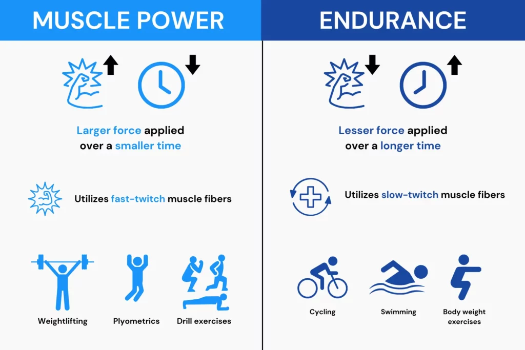 Infographic showing the differences between muscle power vs endurance.