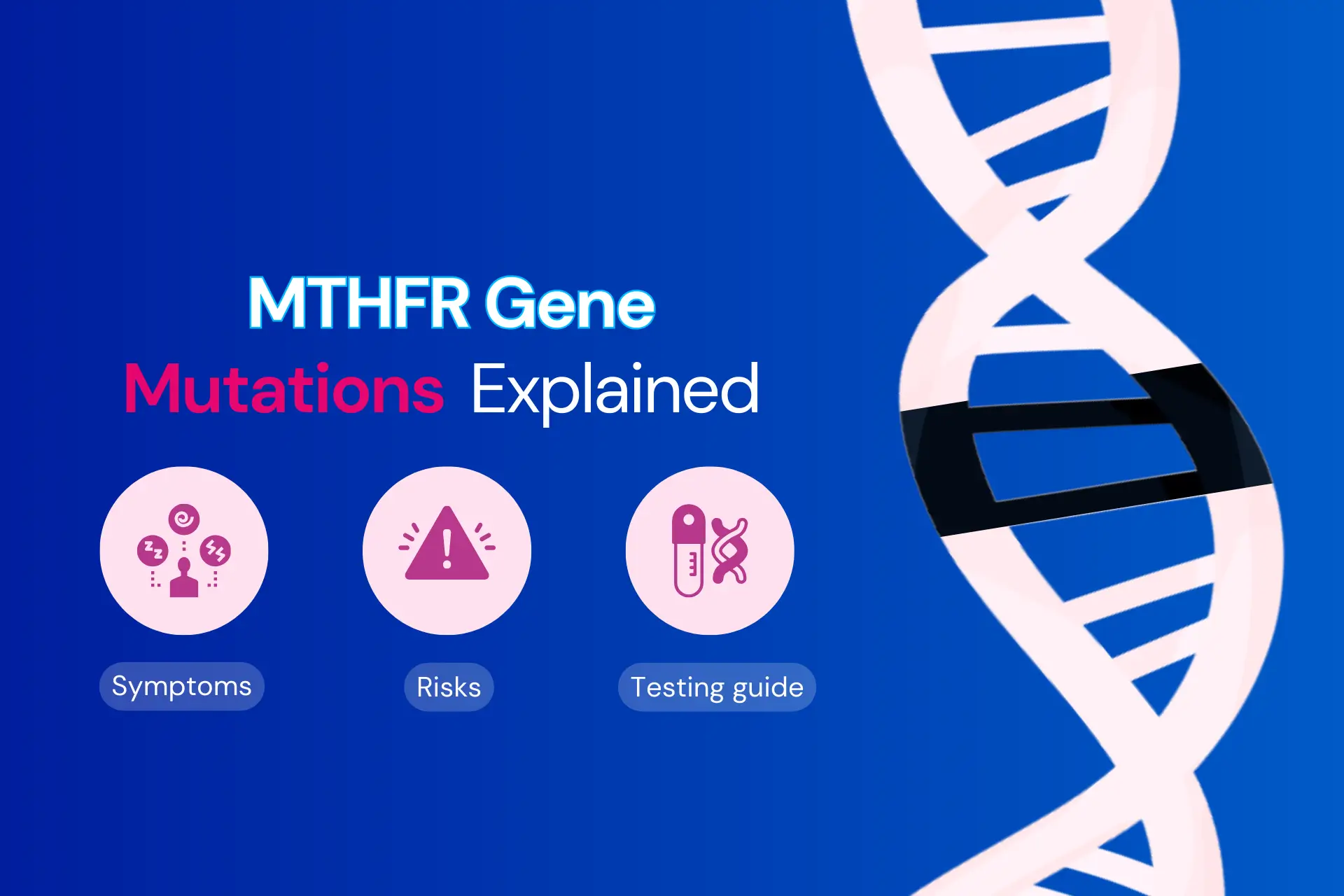 Does 23andme Test For Mthfr Gene MTHFR Gene Mutations Explained: Symptoms, Risks & Testing Guide